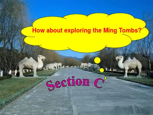 仁爱八下Unit6Topic C 课件