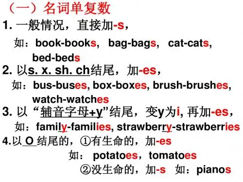 名词：名词单复数,名词的格