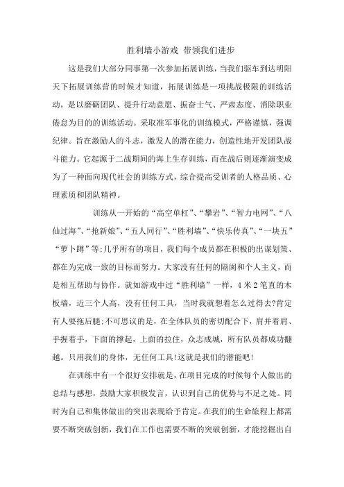 拓展心得体会：胜利墙小游戏