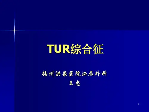 TUR综合征