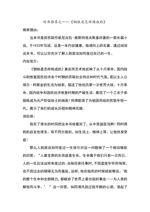 好书推荐钢铁是怎样炼成的