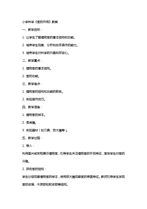 小学科学《茎的作用》教案