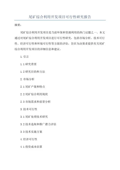 尾矿综合利用开发项目可行性研究报告