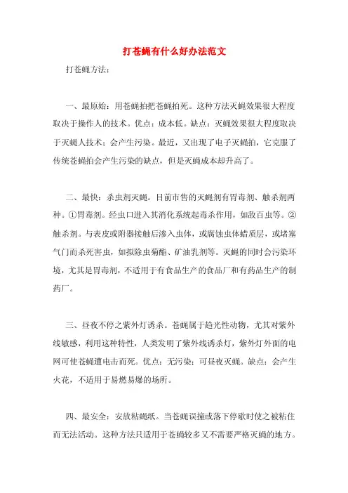 打苍蝇有什么好办法范文
