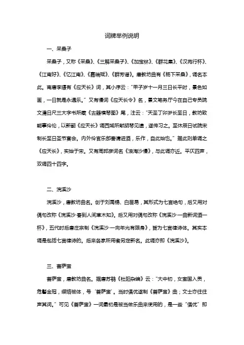 词牌举例说明