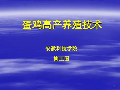 蛋鸡养殖精细化ppt课件