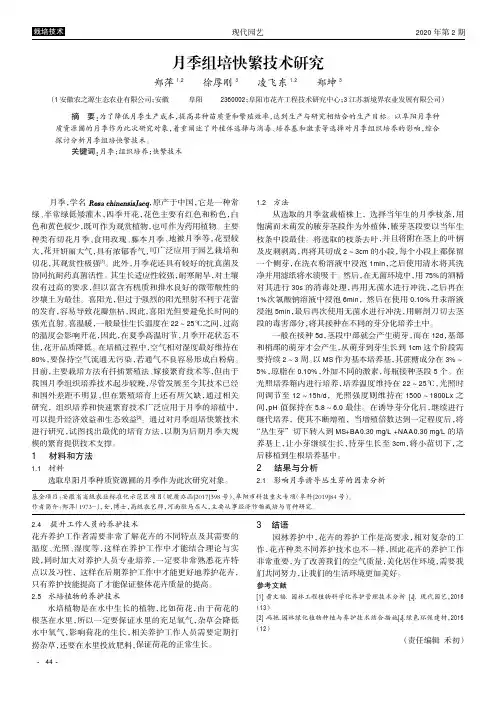 月季组培快繁技术研究