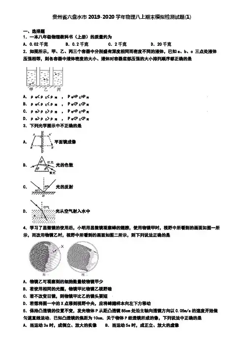 贵州省六盘水市2019-2020学年物理八上期末模拟检测试题(1)