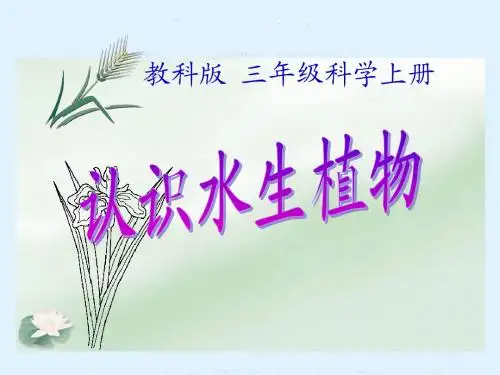 三年级科学上册_水生植物课件_教科版