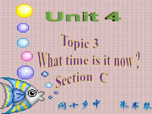 英语仁爱版七年级上册《Unit 4 Having Fun Topic 3 What time ...》课件公开课 (5)