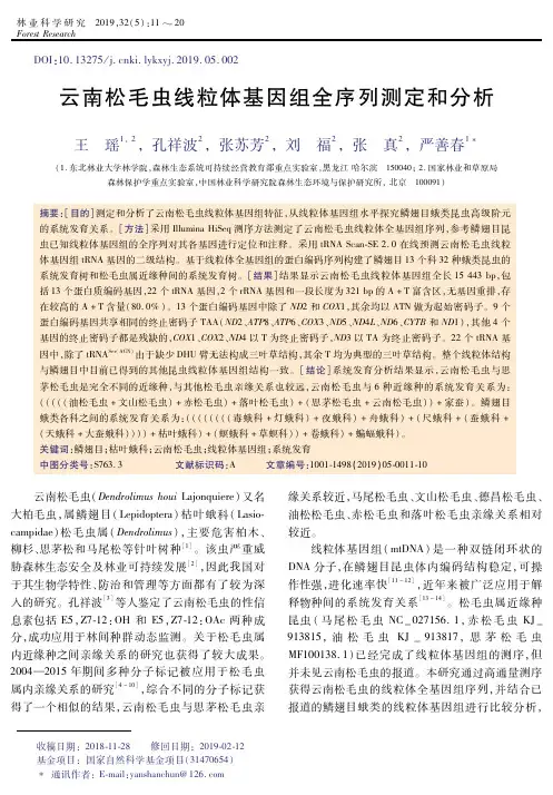 云南松毛虫线粒体基因组全序列测定和分析