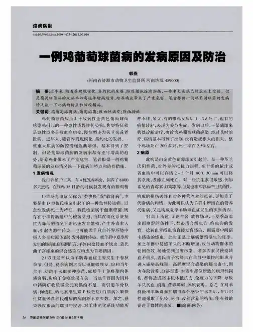 一例鸡葡萄球菌病的发病原因及防治