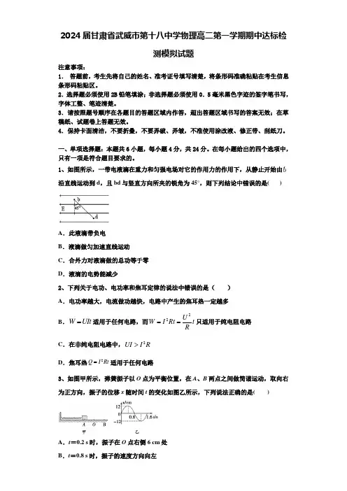 2024届甘肃省武威市第十八中学物理高二第一学期期中达标检测模拟试题含解析