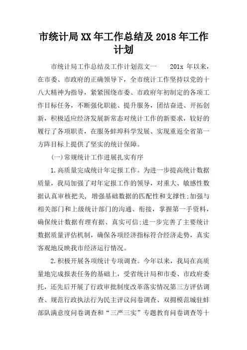 市统计局XX年工作总结及2018年工作计划