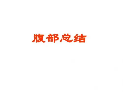腹部解剖  ppt课件