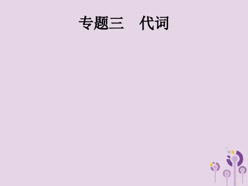 2019年中考英语总复习优化设计第二部分语法专项突破专题三代词课件考点二