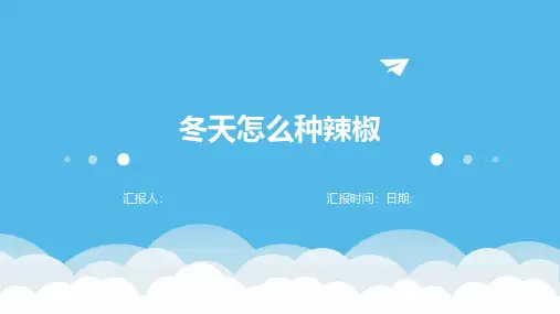 冬天怎么种辣椒