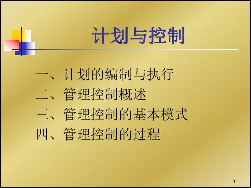 复旦大学管理学课件 (9)