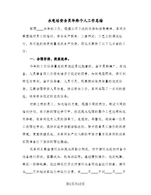 水电站安全员年终个人工作总结(5篇)