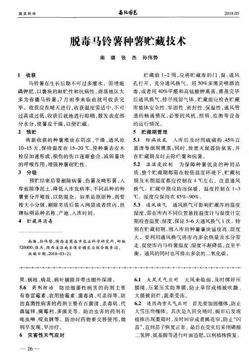 脱毒马铃薯种薯贮藏技术