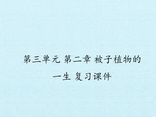 人教版初中七年级上册生物：第二章  被子植物的一生 复习课件