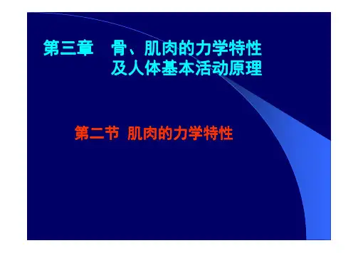 第三章  第二节 肌肉的生物力学特性