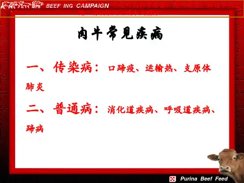 肉牛疾病的预防和治疗培训课件