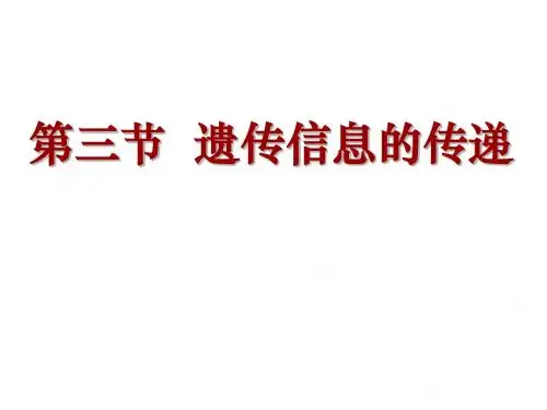 高中生物浙科版必修二第三章_第三节_遗传信息的传递
