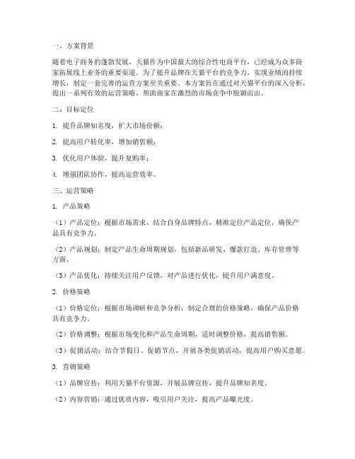 天猫运营方案 2