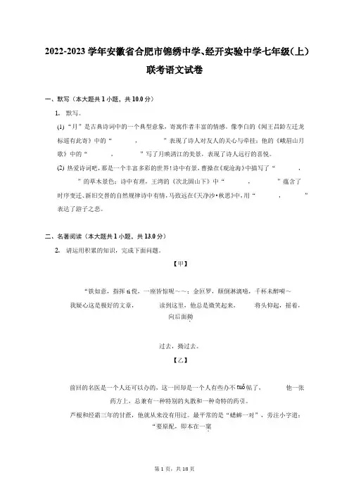 2022-2023学年安徽省合肥市锦绣中学、经开实验中学七年级(上)联考语文试卷(附答案详解)