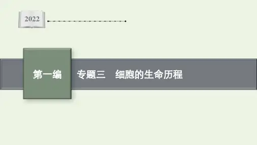 新教材高考生物二轮复习专题三细胞的生命历程课件