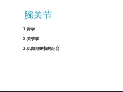 骨骼肌肉功能解剖学----- 腕关节