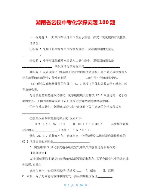 湖南省名校中考化学探究题100题
