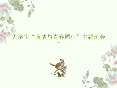大学生“廉洁与青春同行”主题班会共52页文档