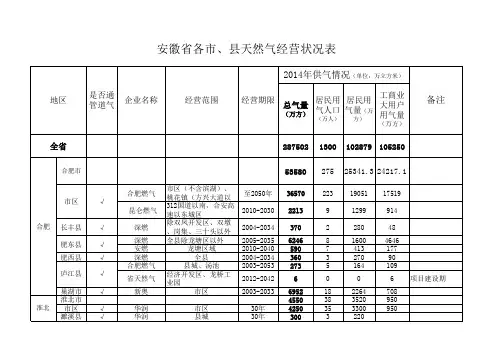 安徽省市、县天然气经营状况表