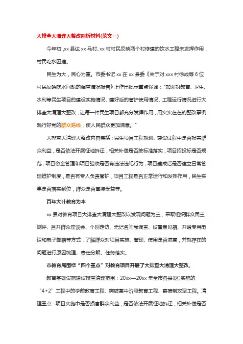 大排查大清理大整改剖析材料