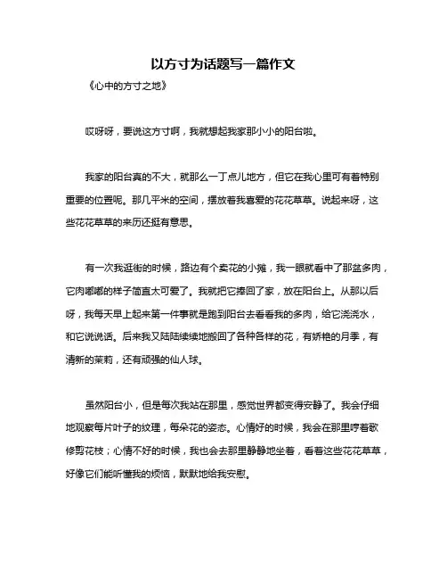 以方寸为话题写一篇作文
