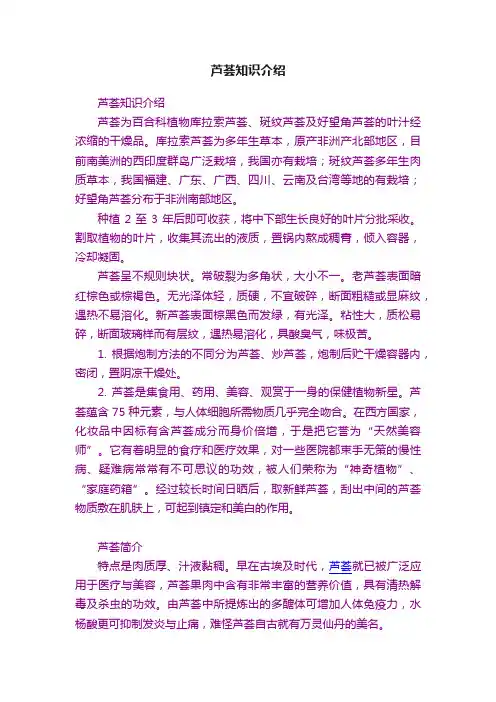 芦荟知识介绍
