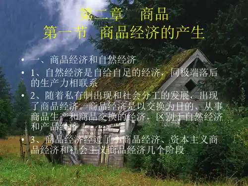 商品经济的产生
