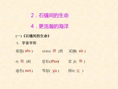 初中语文语文版新课标九年级下册课件：第一单元  2.石