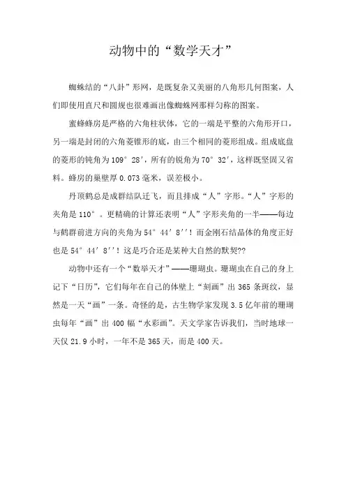 听故事学数学——动物中的“数学天才”
