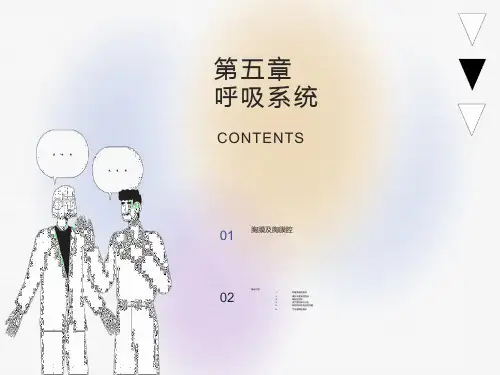 人体组织学与解剖学课件呼吸系统