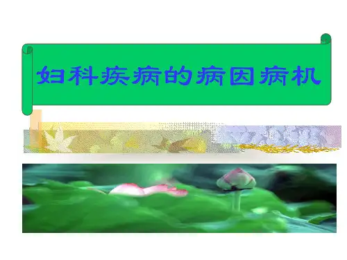 第四章妇科疾病的病因病机详解