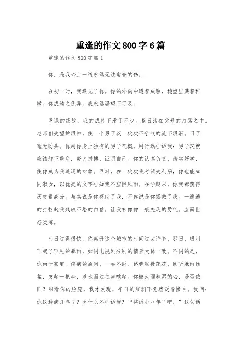 重逢的作文800字6篇