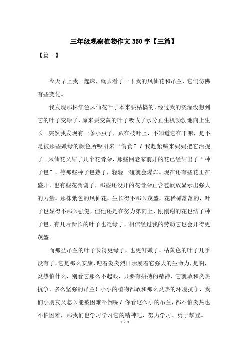 三年级观察植物作文350字【三篇】