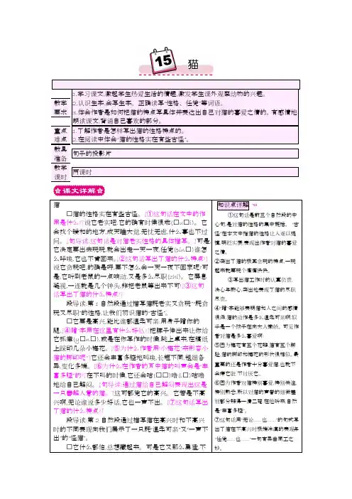 15猫 一等奖教案