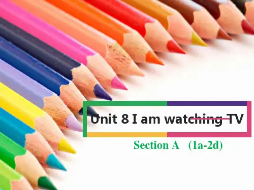 鲁教版  初中英语六年级下 Unit8  I'm watching TV SectionA(1a-2d)课件
