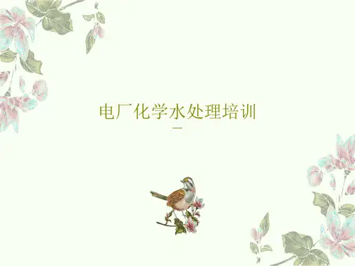 电厂化学水处理培训68页PPT