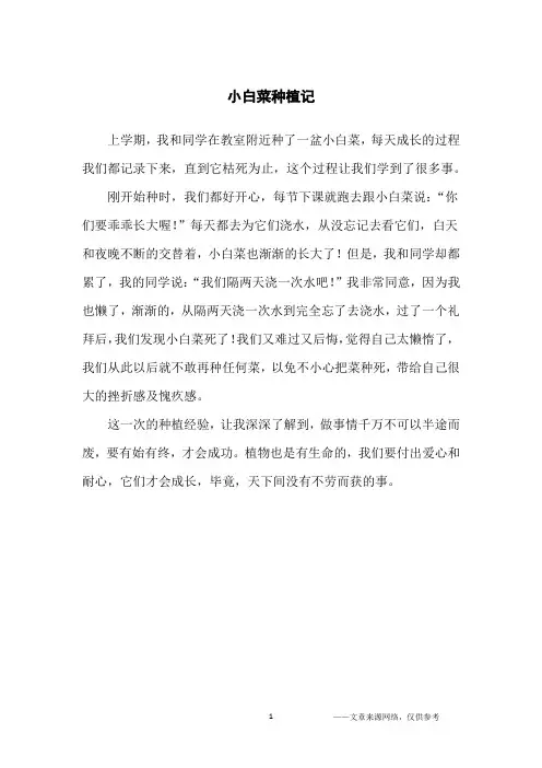 小白菜种植记_记叙文