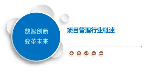 项目管理行业概述-第1篇